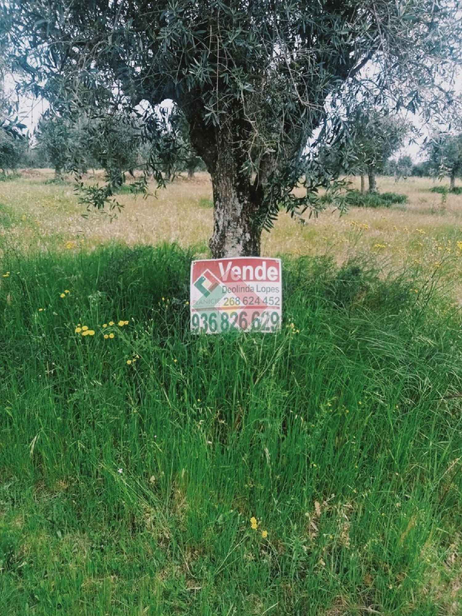  köpa tomt Ponte de Sor Ponte De Sor 1