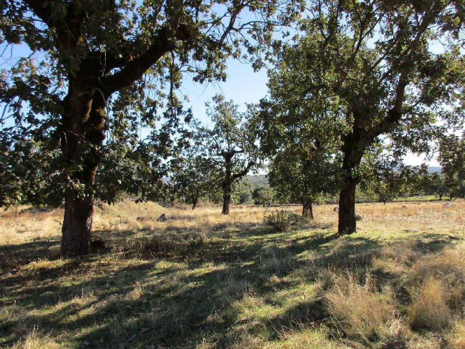  te koop terrein Ponte Velha Marvão 2