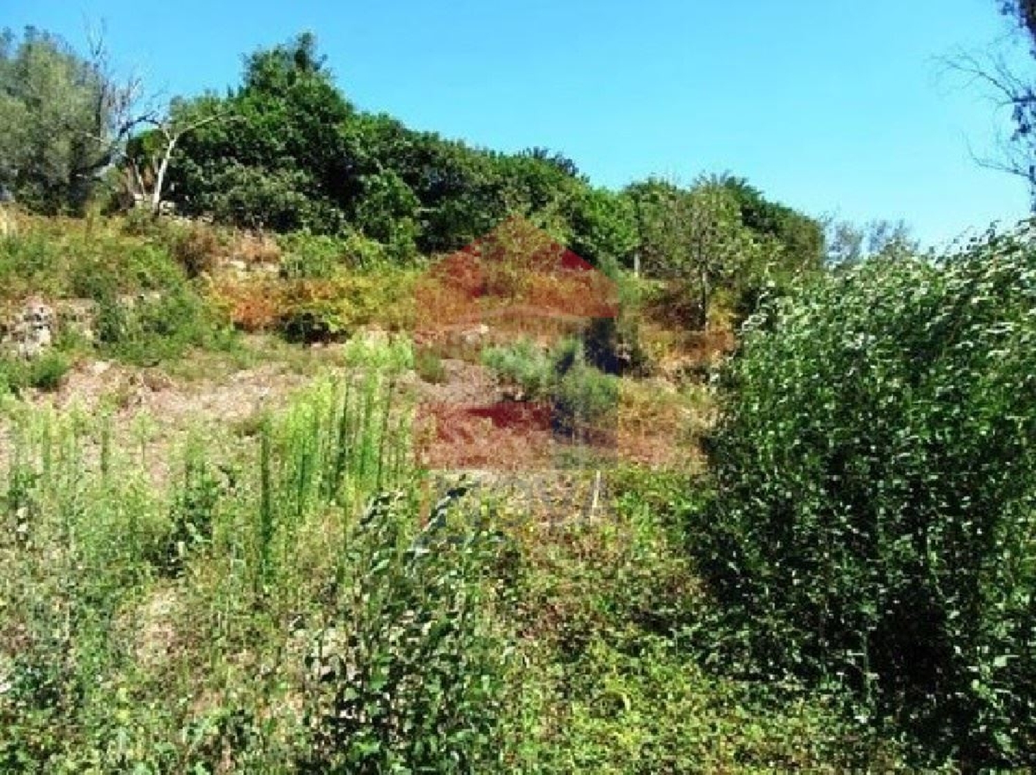 te koop terrein Ponte Vila Verde 3
