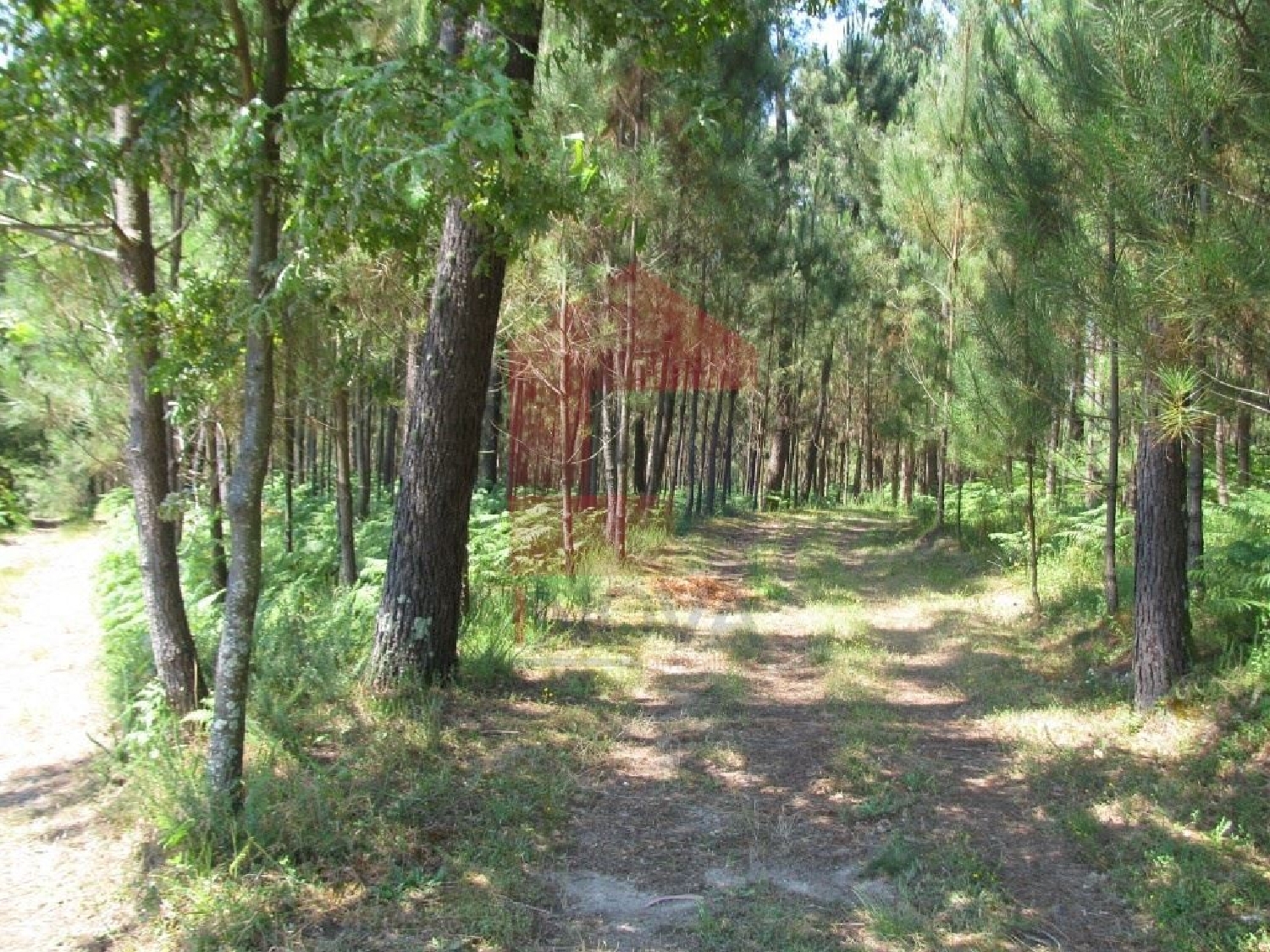 te koop terrein Ponte Vila Verde 2