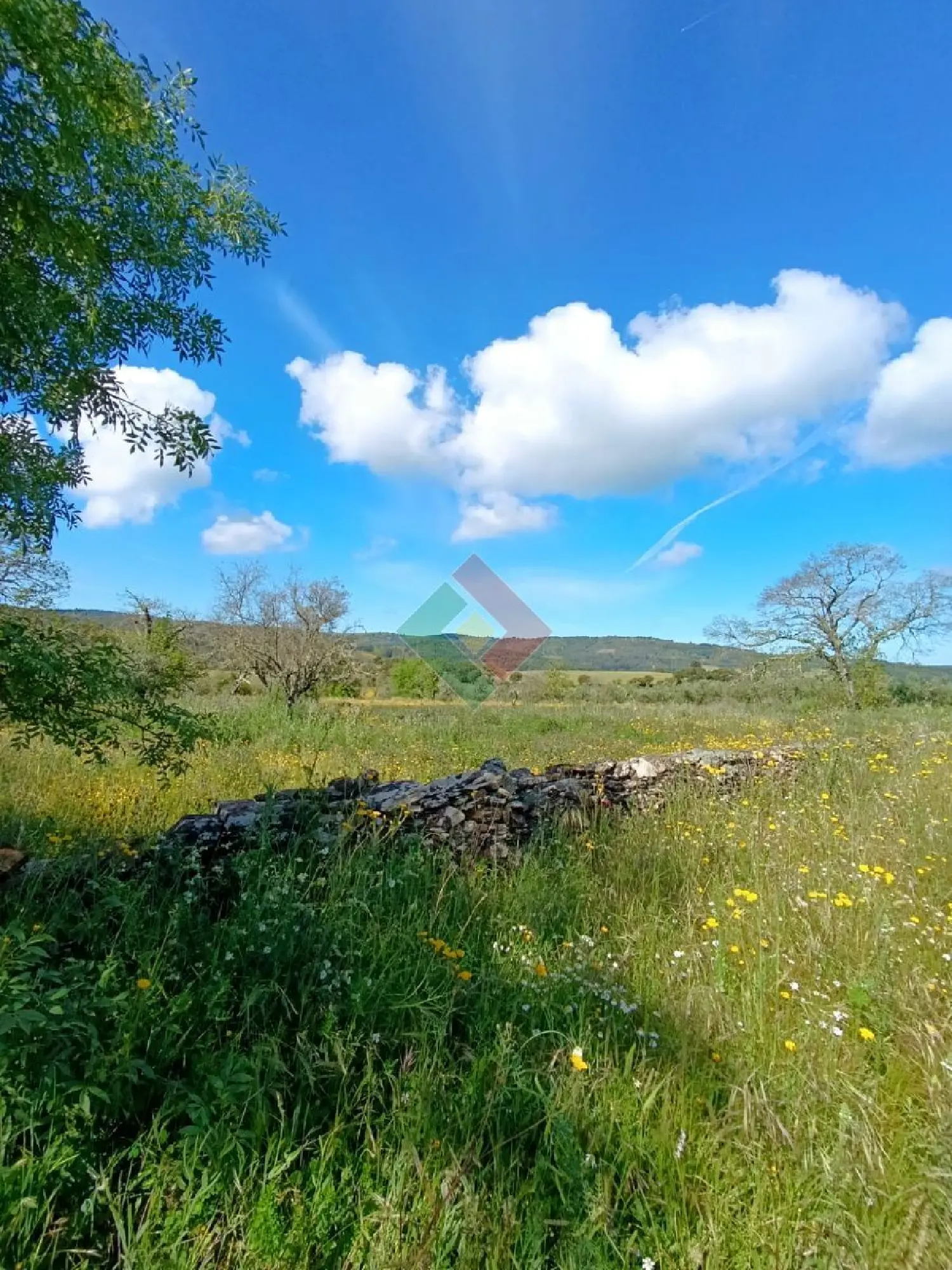  à venda terreno Portagem Marvão 2