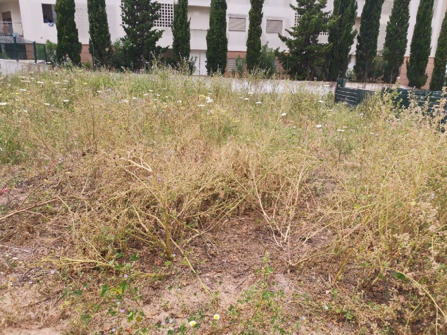  kaufen Grundstück Portimão Portimão 1
