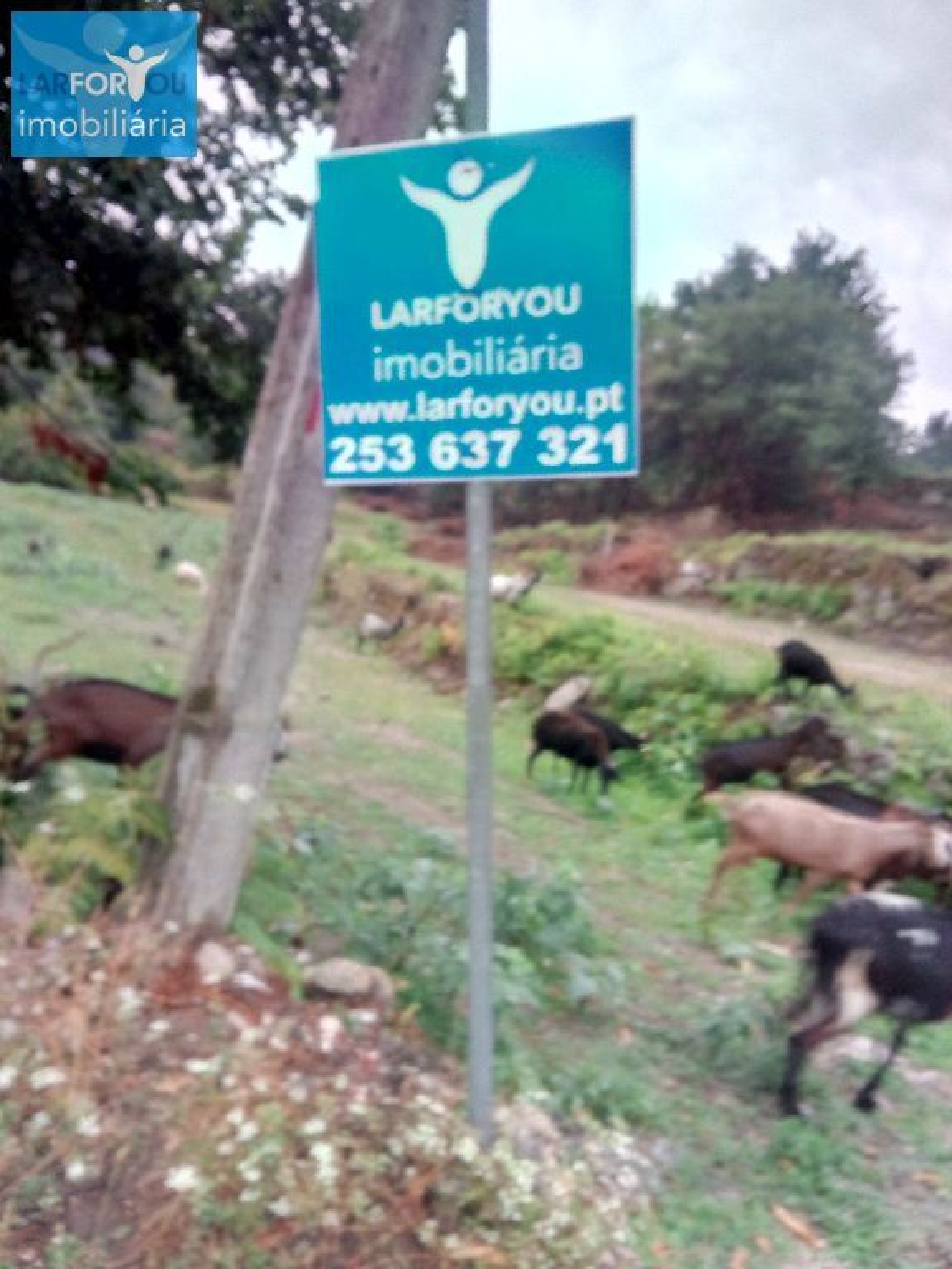 te koop terrein Póvoa de Lanhoso Póvoa De Lanhoso 3