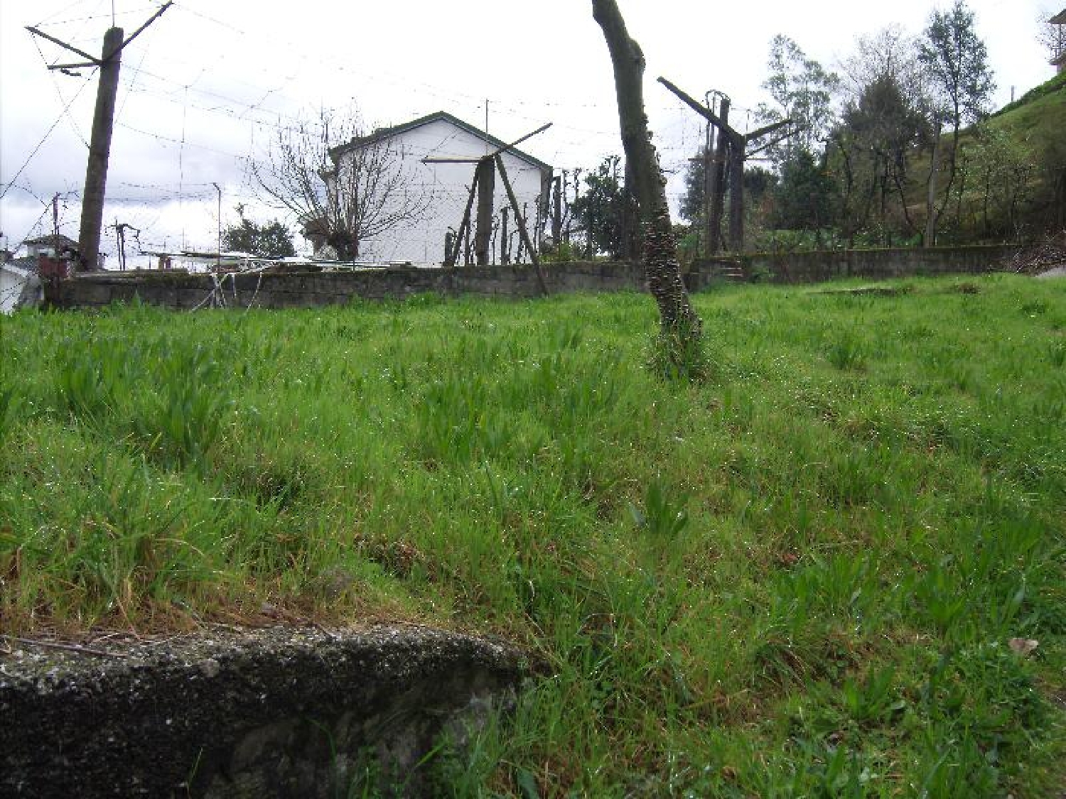  te koop terrein Póvoa de Lanhoso Póvoa De Lanhoso 1