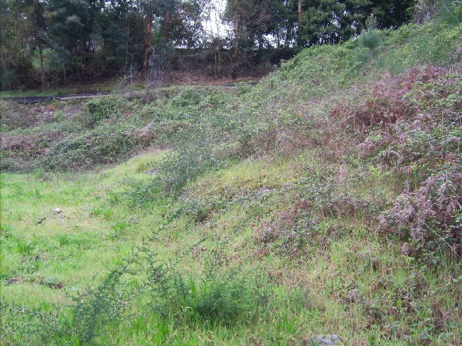 te koop terrein Póvoa de Lanhoso Póvoa De Lanhoso 2