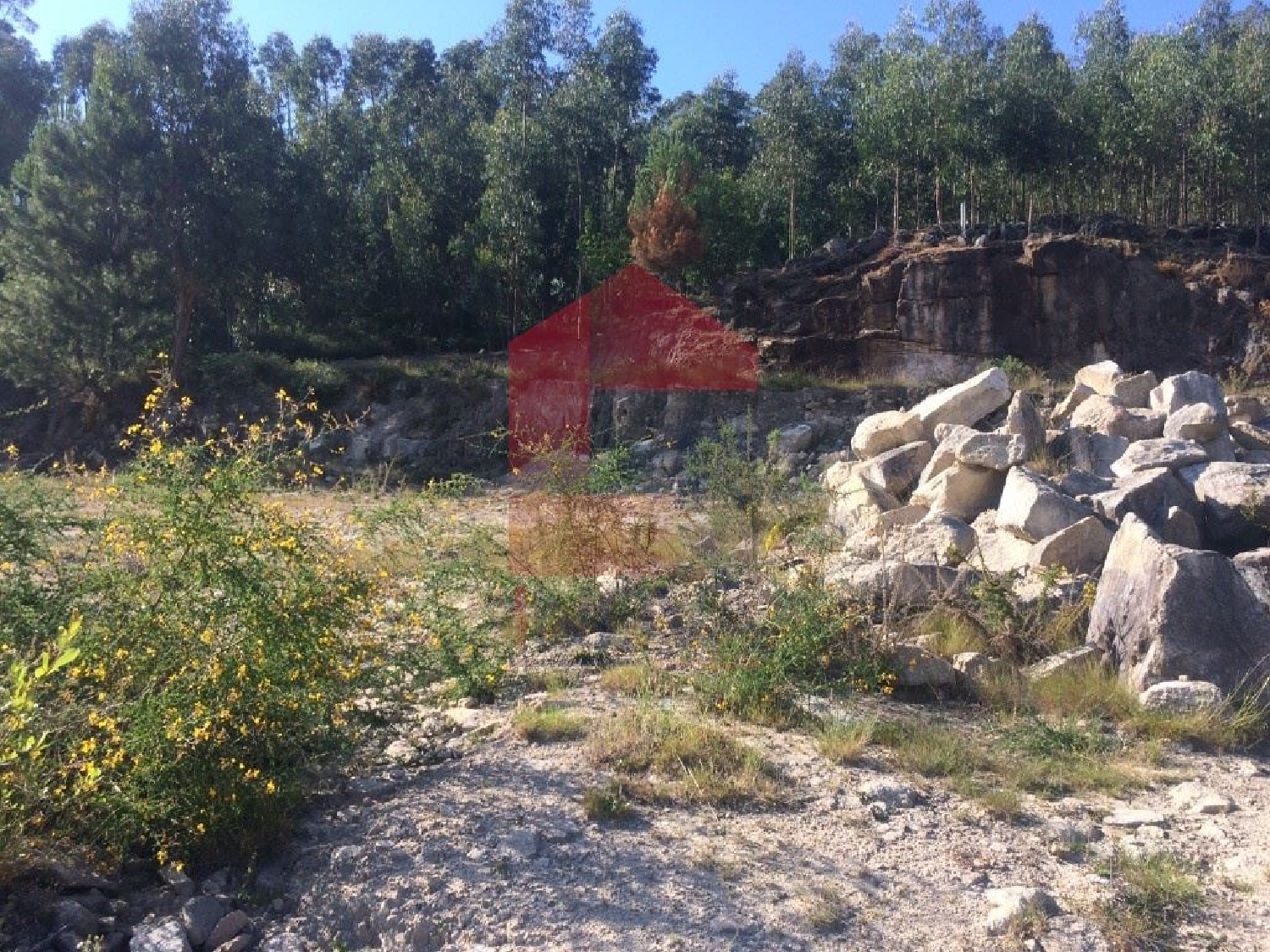 for sale terrain Premedelos Vila Verde 1