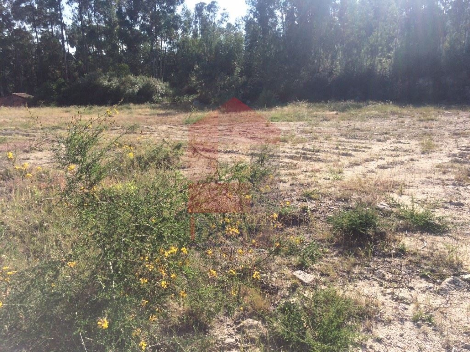 for sale terrain Premedelos Vila Verde 2