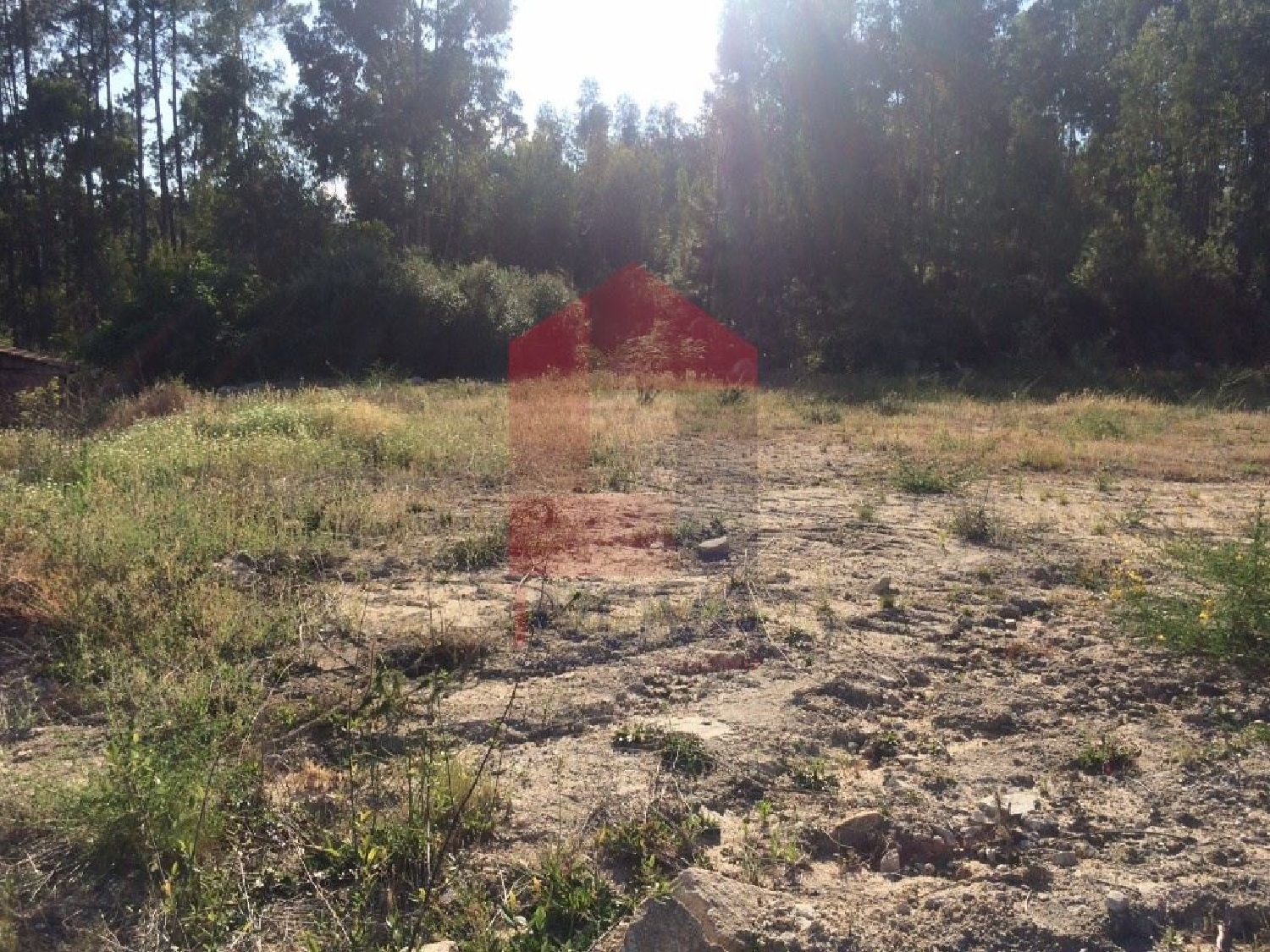for sale terrain Premedelos Vila Verde 3