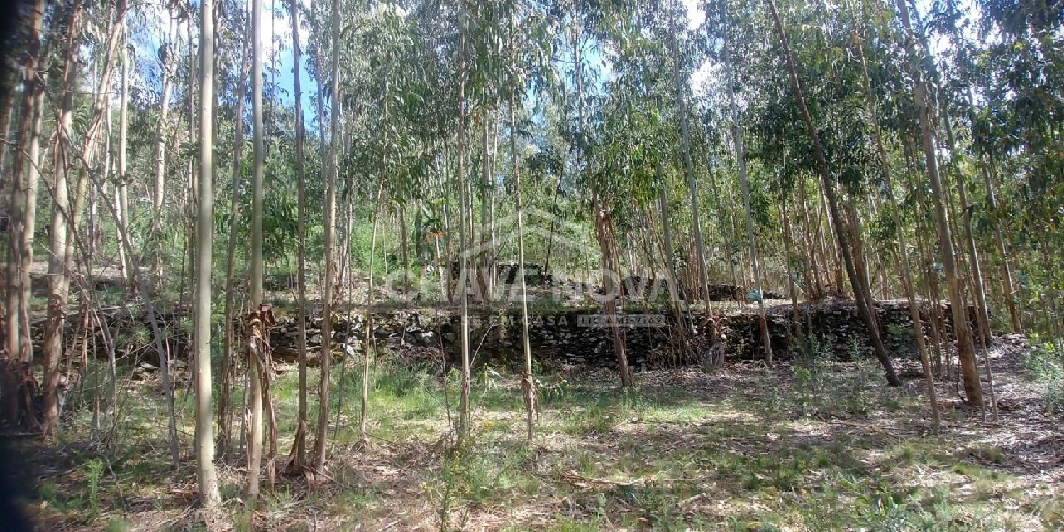  te koop terrein Presa Arouca 3