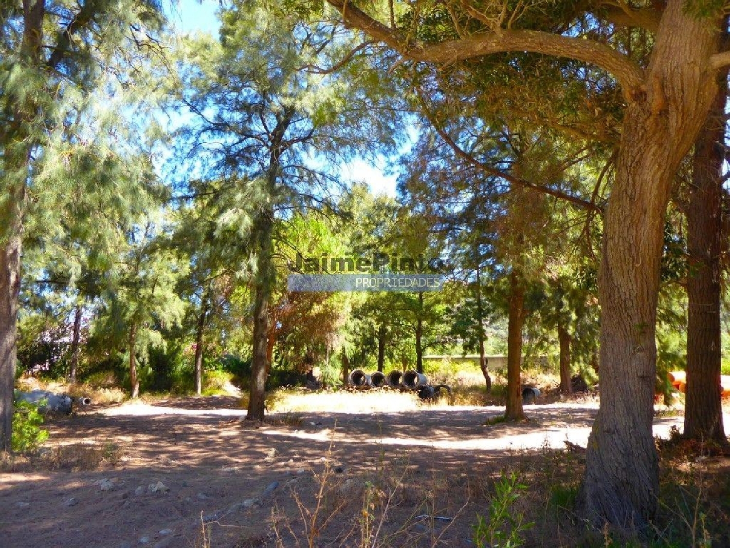 for sale terrain Prior Velho Loures 3