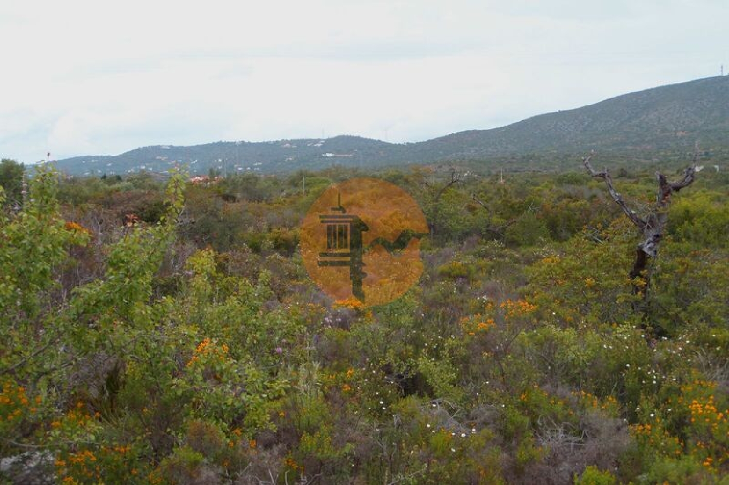 te koop terrein Quelfes Olhão 3