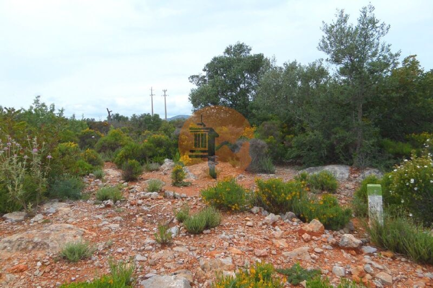  te koop terrein Quelfes Olhão 4