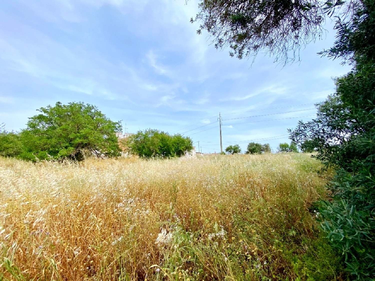te koop terrein Quelfes Olhão 3