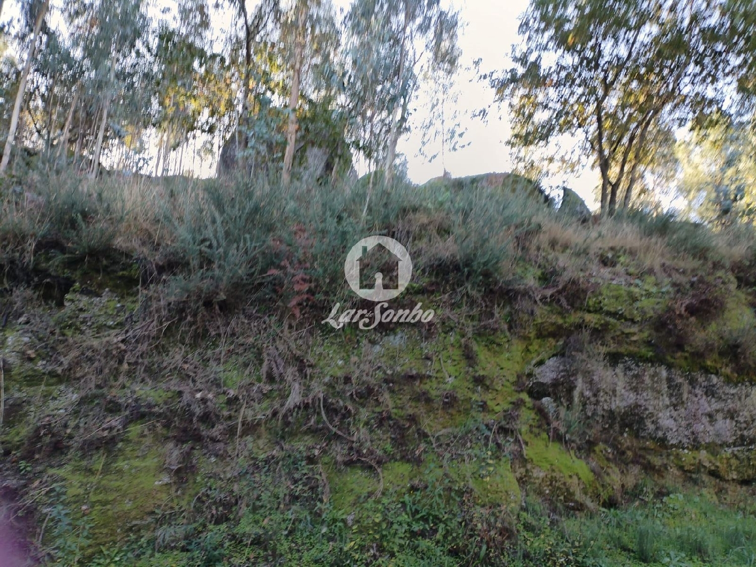  te koop terrein Quinchães Fafe 2