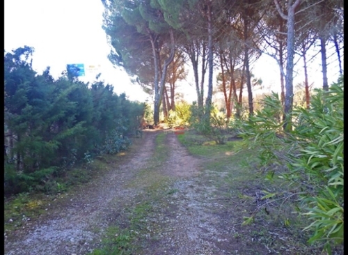 Quinta da Anunciada Tomar tomt foto 326905