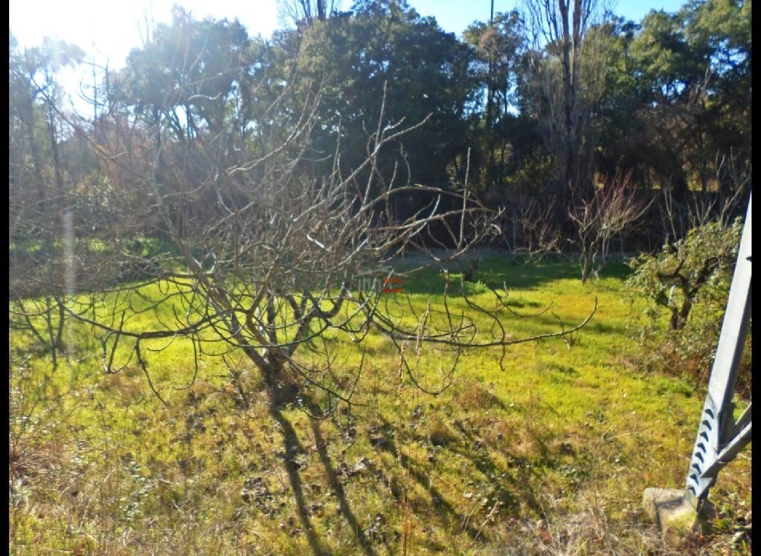 te koop terrein Quinta da Anunciada Tomar 2