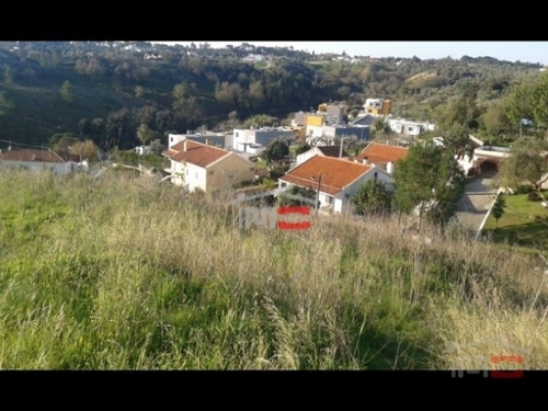 Quinta de Santa Ana Tomar terrain foto 326897