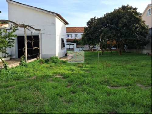 Quinta do Conde Sesimbra terrein foto 324819