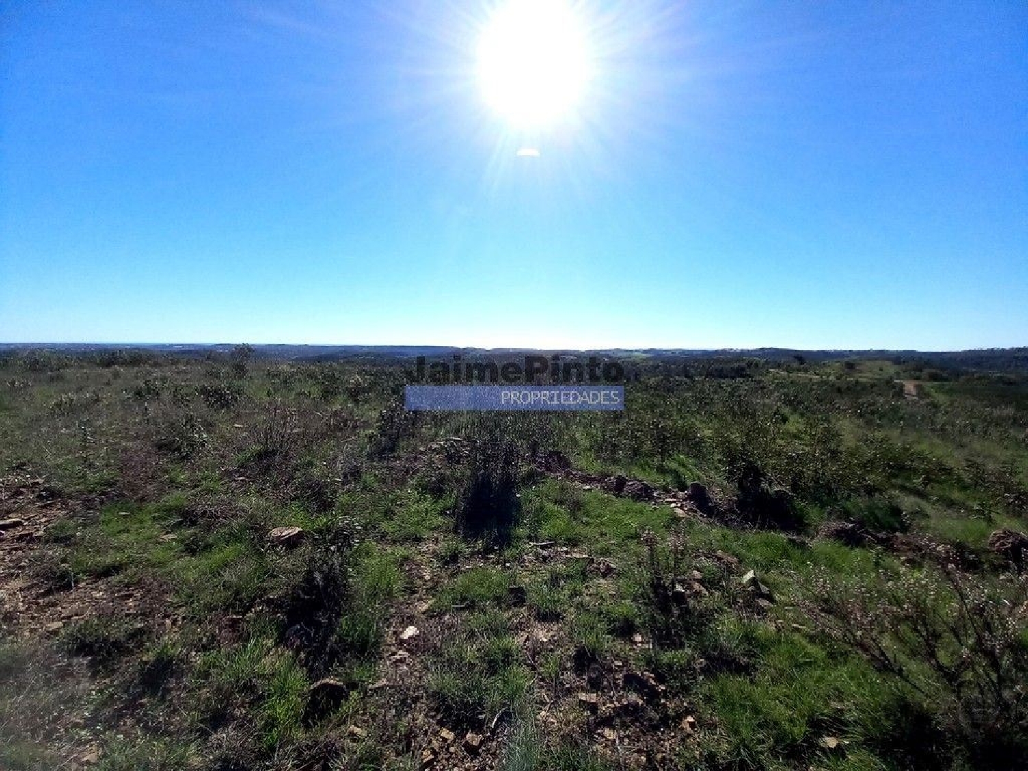 kaufen Grundstück Raposeira Vila Do Bispo 2