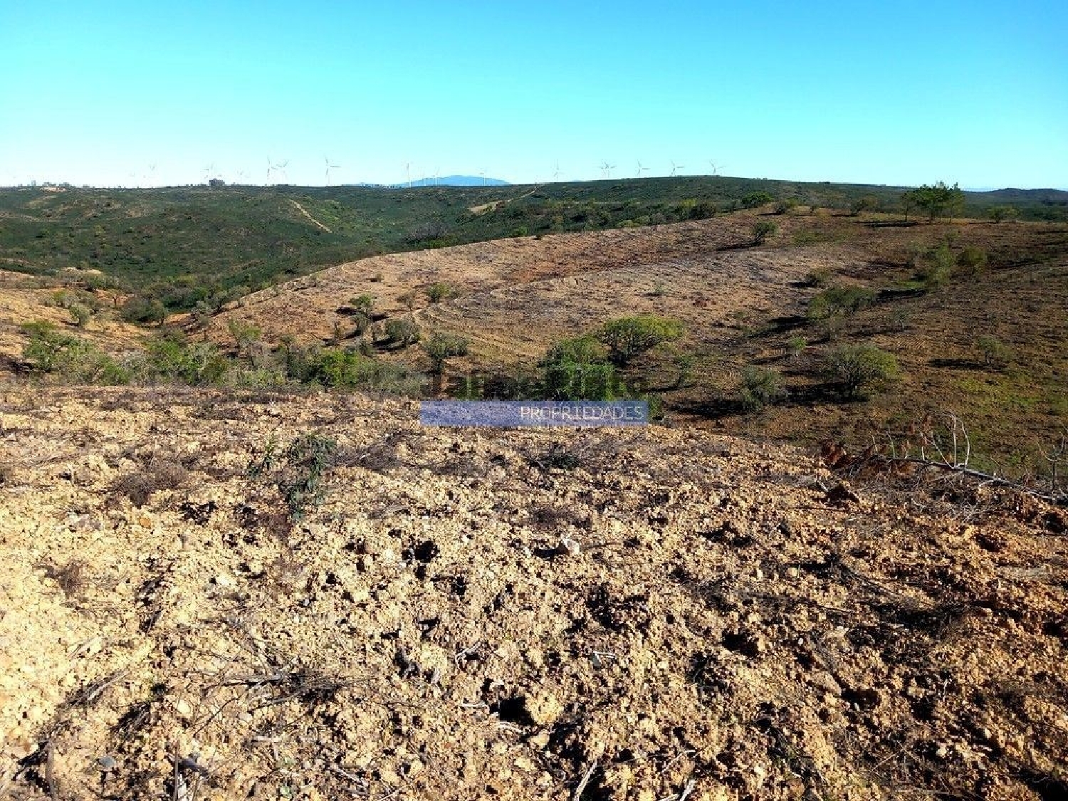 kaufen Grundstück Raposeira Vila Do Bispo 3