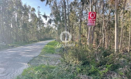 Rates Póvoa De Varzim terrein foto 320621
