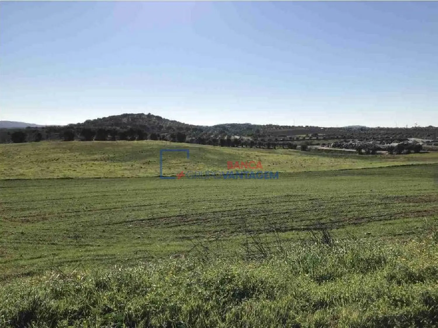 for sale terrain Redondo Redondo 3