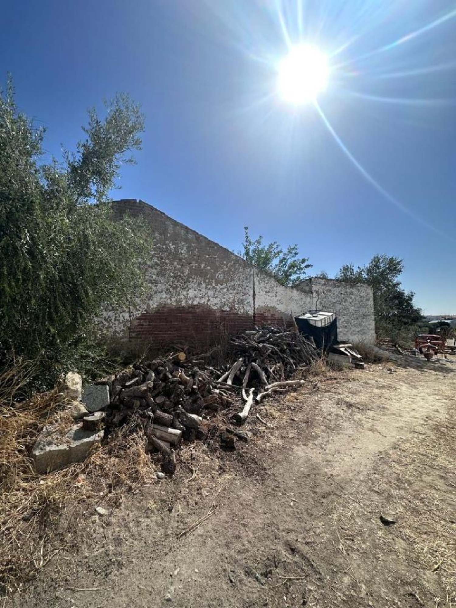  te koop terrein Reguengos de Monsaraz Reguengos De Monsaraz 1