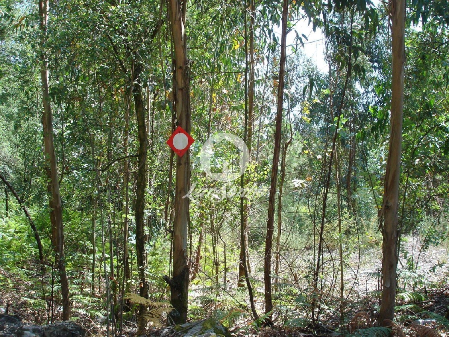  à venda terreno Remelhe Barcelos 1