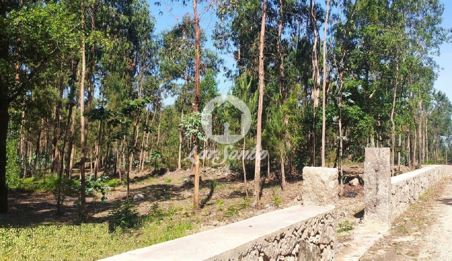 à venda terreno Remelhe Barcelos 3