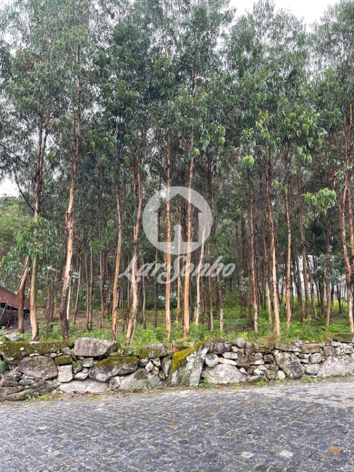 à venda terreno Remelhe Barcelos 3