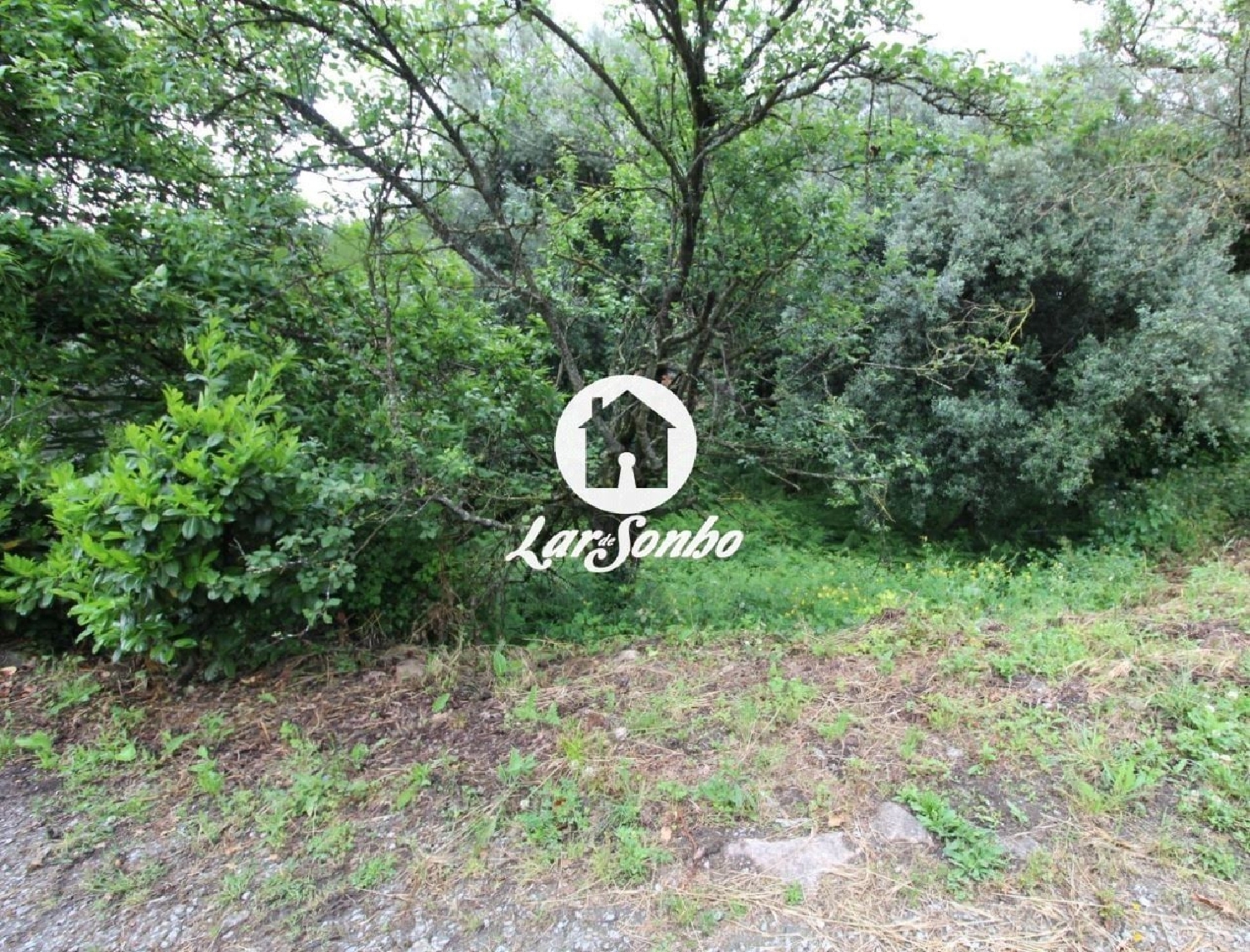 à vendre terrain Remelhe Barcelos 2