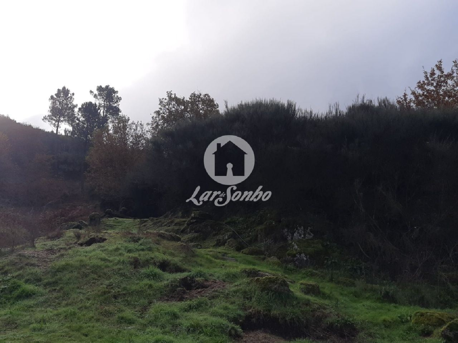  kaufen Grundstück Ribas Vila Nova De Poiares 2