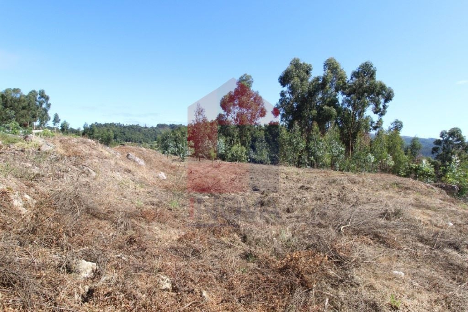 te koop terrein Ribeira Vila Verde 2