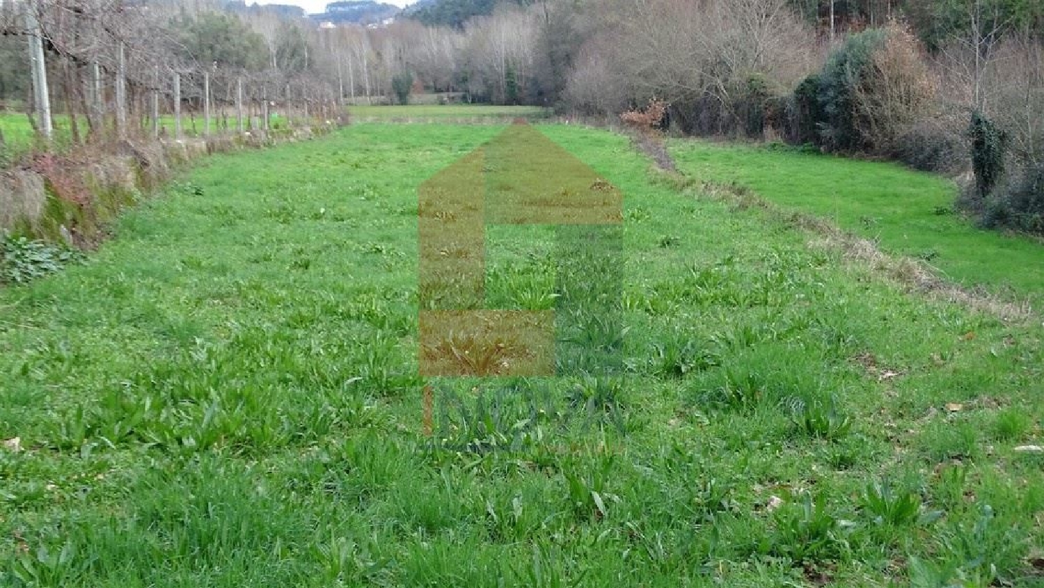  à venda terreno Ribeira Vila Verde 1