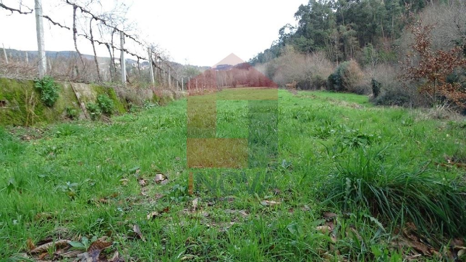 à venda terreno Ribeira Vila Verde 2