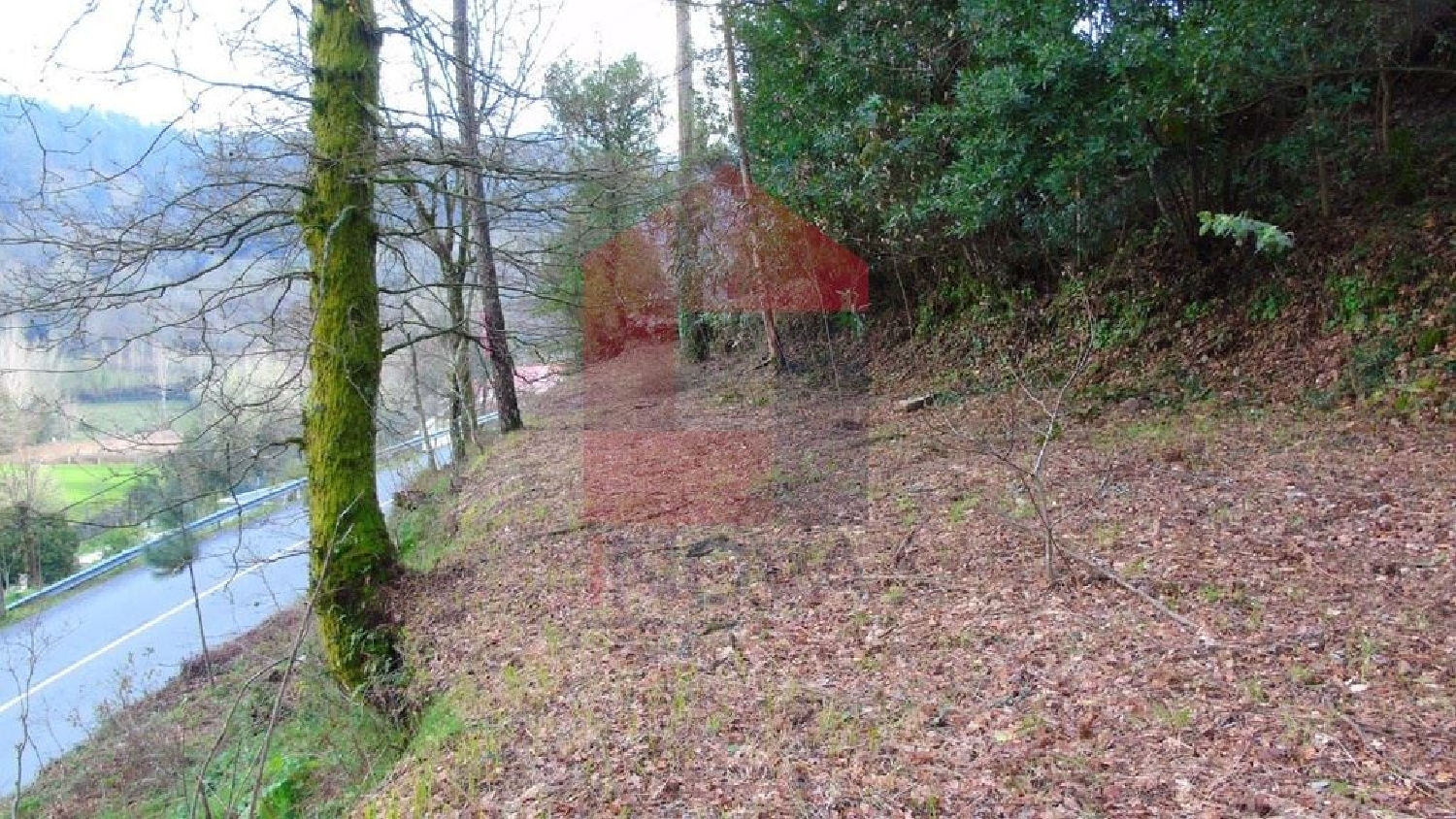 à venda terreno Ribeira Vila Verde 2