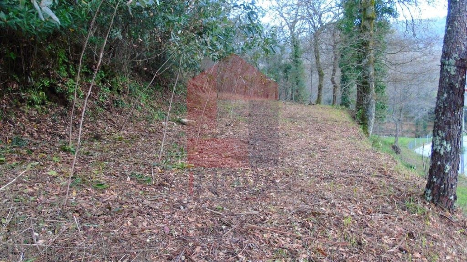 à venda terreno Ribeira Vila Verde 3