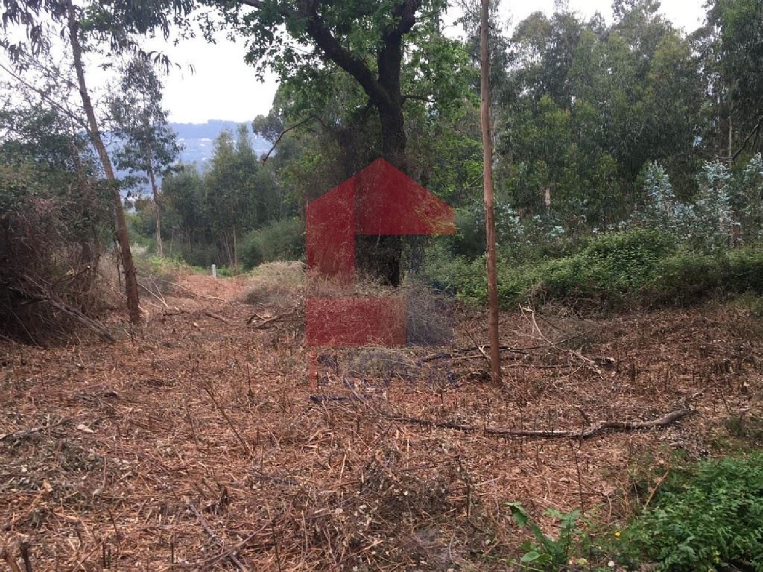 te koop terrein Ribeira Vila Verde 2