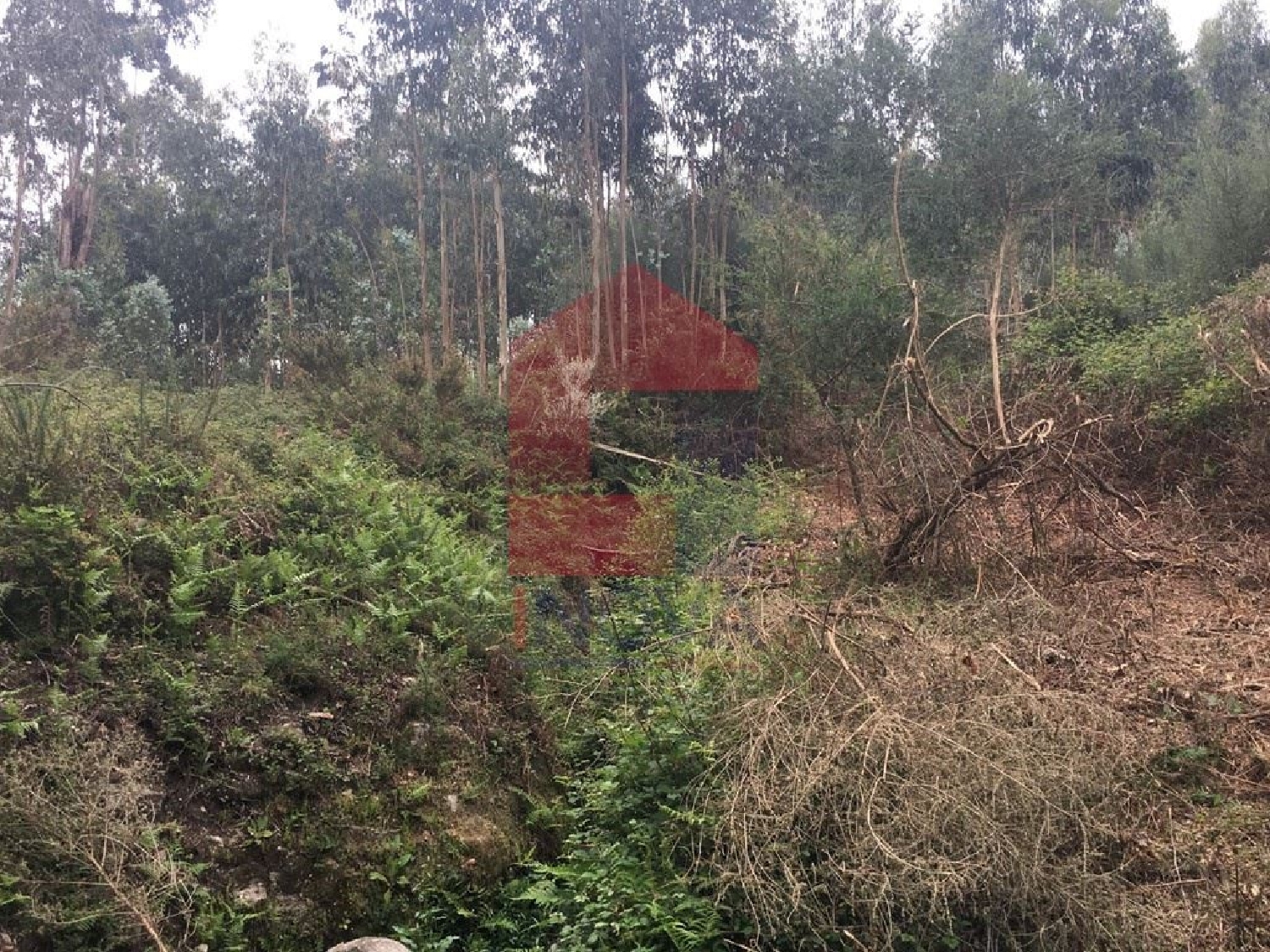 te koop terrein Ribeira Vila Verde 3