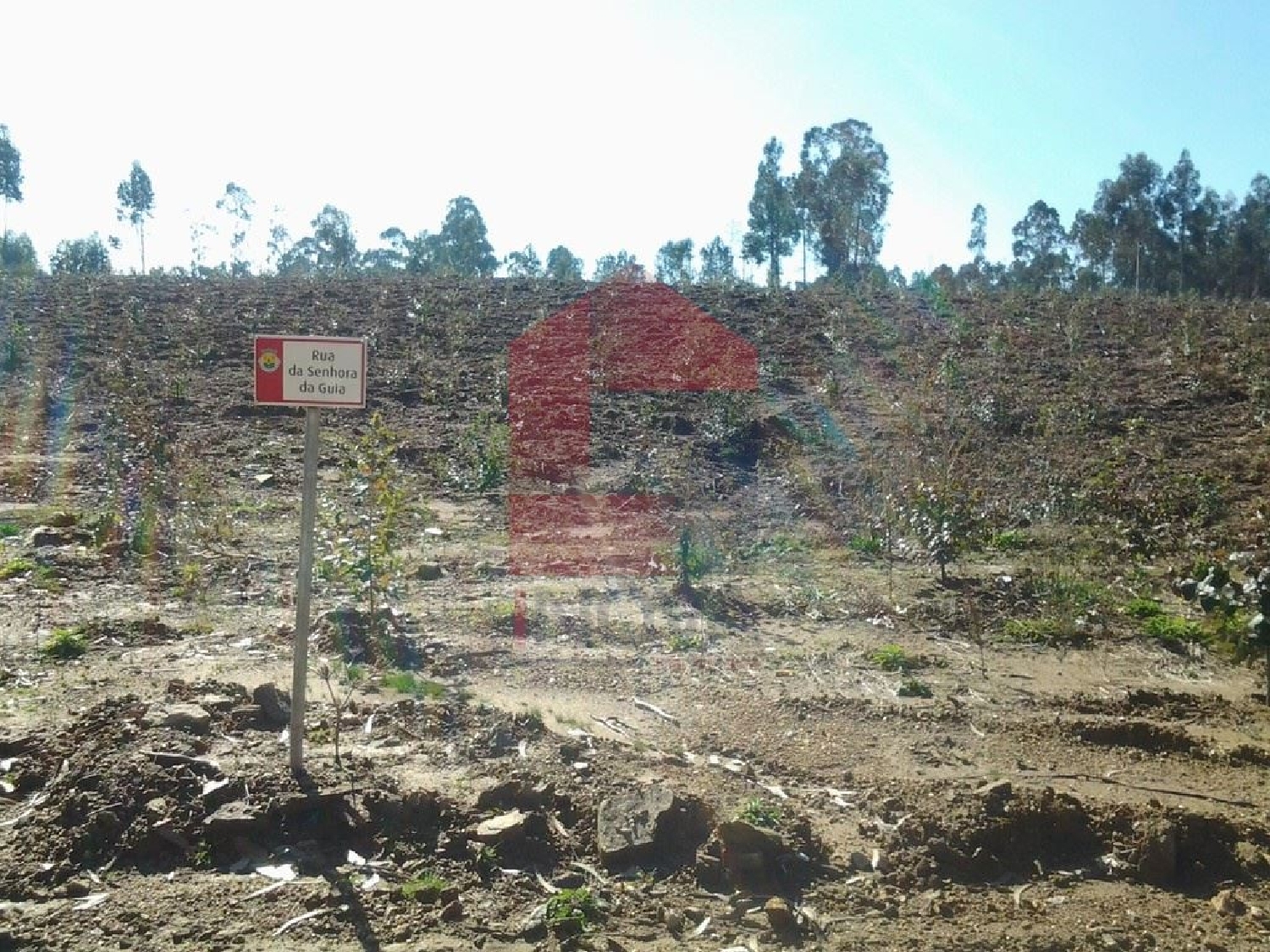 kaufen Grundstück Ribeira Vila Verde 2