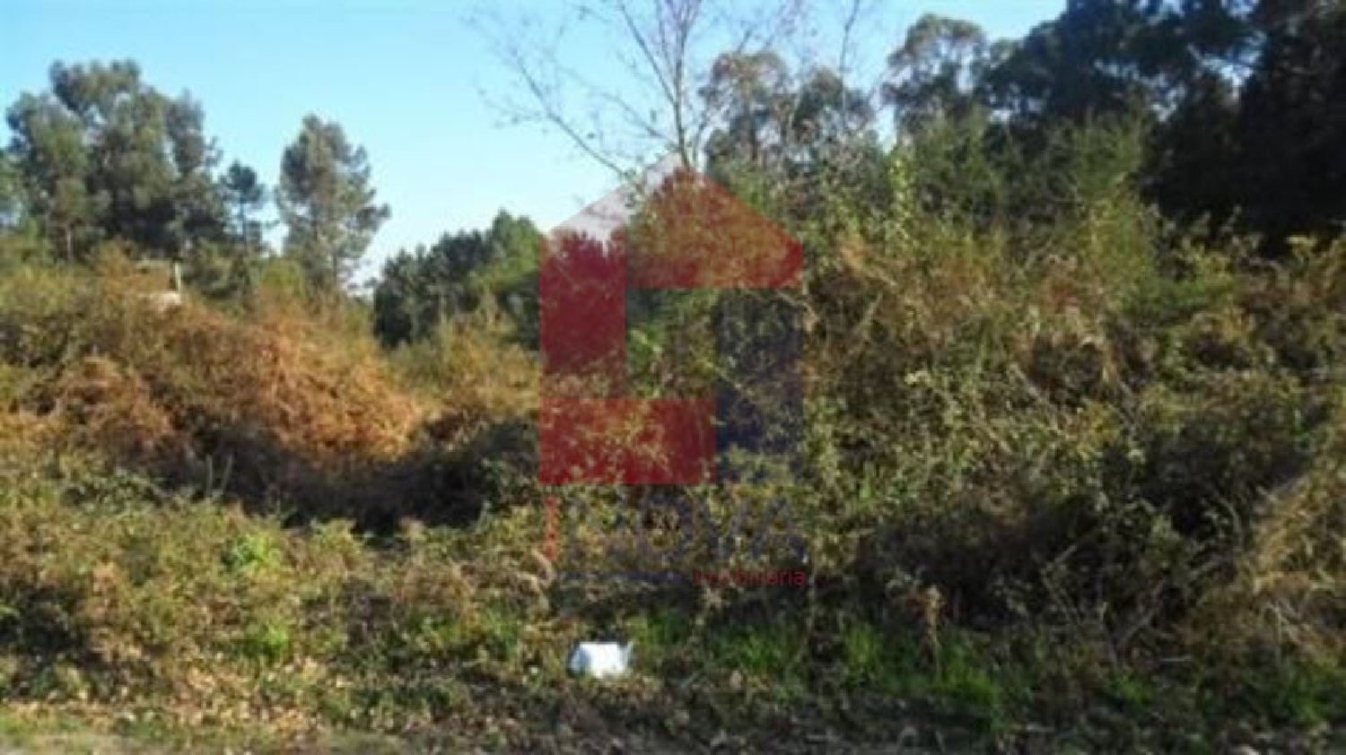 te koop terrein Ribeira Vila Verde 2