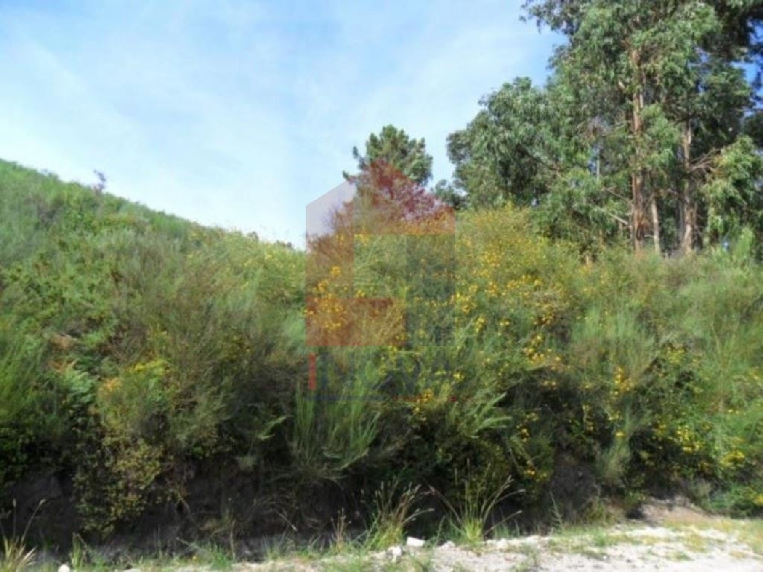 kaufen Grundstück Ribeira Vila Verde 2