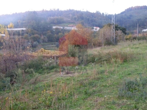 Ribeira Vila Verde terreno foto 325994