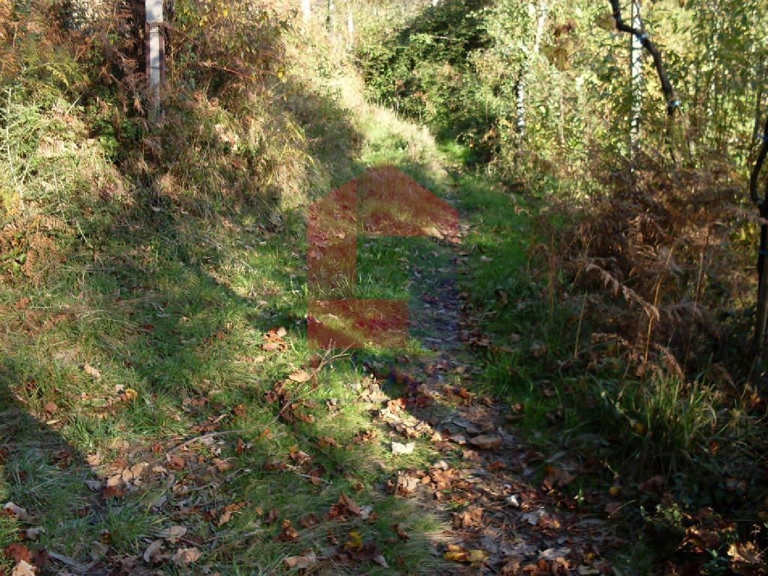 à venda terreno Ribeira Vila Verde 2