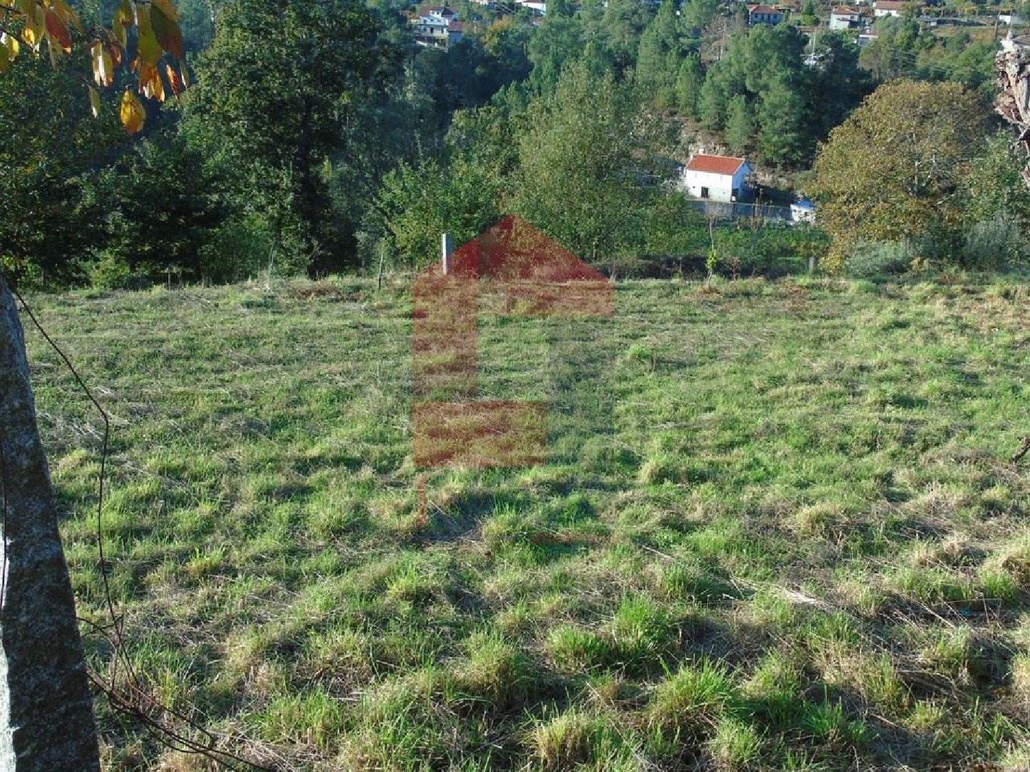 köpa tomt Ribeira Vila Verde 2
