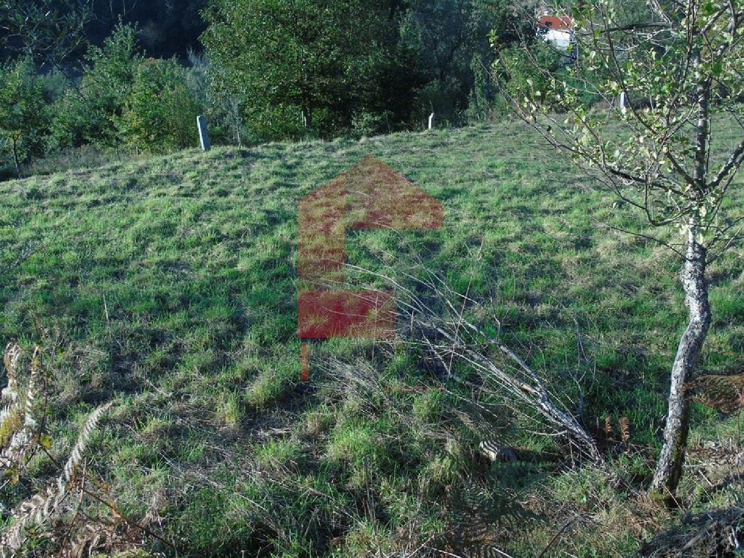 köpa tomt Ribeira Vila Verde 3