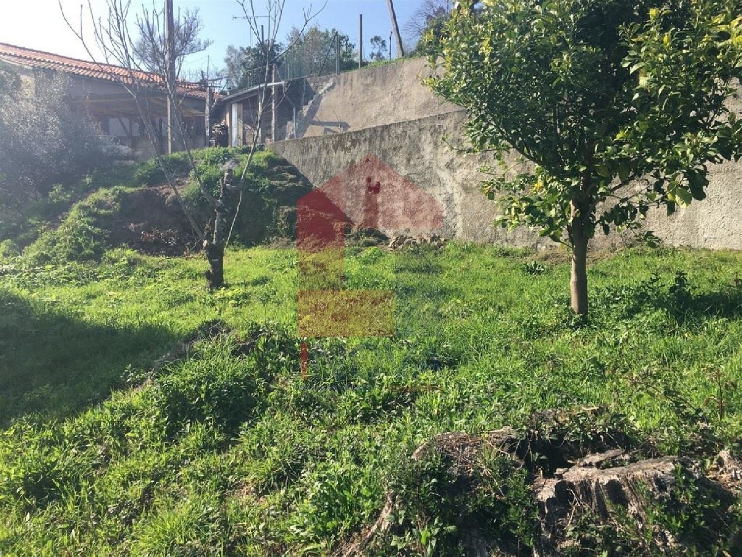 for sale terrain Ribeira Vila Verde 1