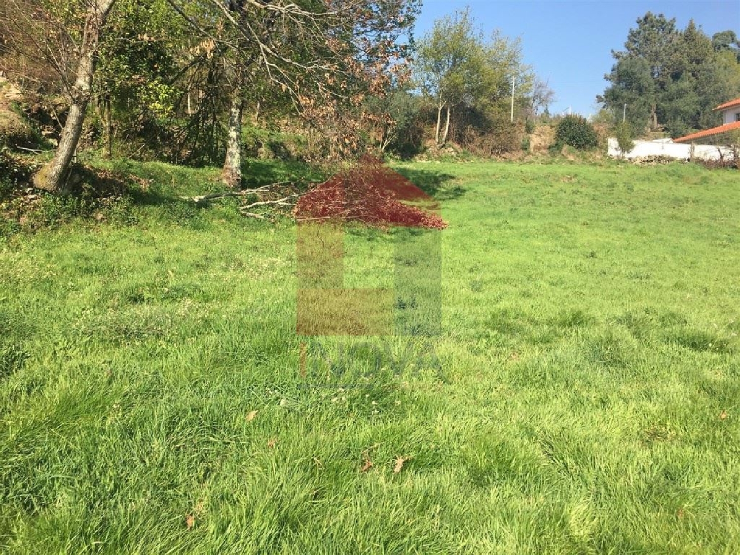 for sale terrain Ribeira Vila Verde 3