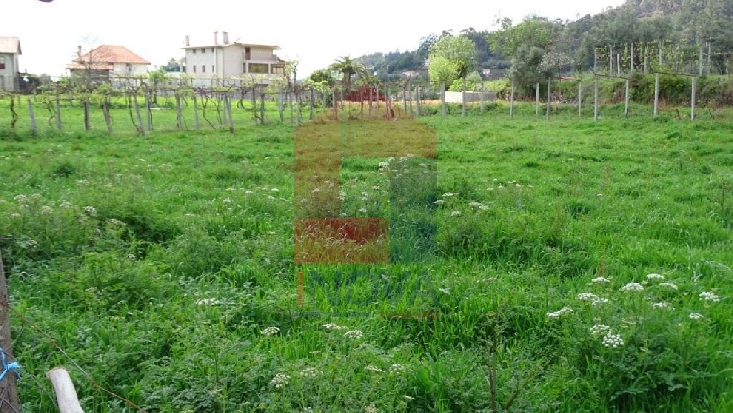 à venda terreno Ribeira Vila Verde 2
