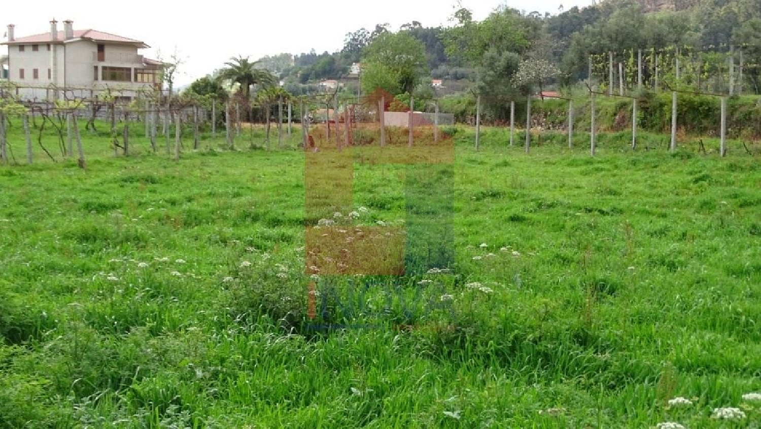 à venda terreno Ribeira Vila Verde 3